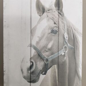 Horse Desk Block