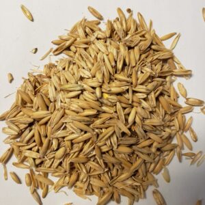Rolled Oats