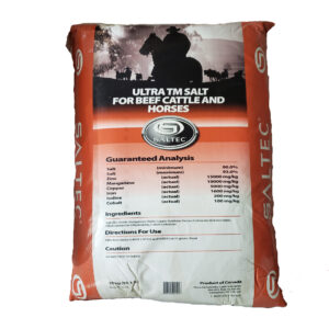 Salt Bags