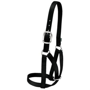 Barn Cow Halter - Large